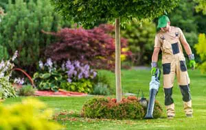 Mantenimiento y limpieza de jardines y fincas en madrid
